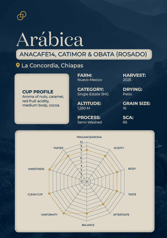 Arábica · MondonoVo, Oro Azteca